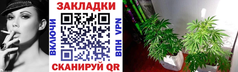 Какие есть наркотики Кашира Амфетамин Канабис Меф Гашиш