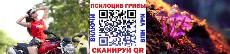 Галлюциногенные грибы Magic Shrooms  где купить наркоту  Кашира 